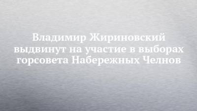 Владимир Жириновский выдвинут на участие в выборах горсовета Набережных Челнов