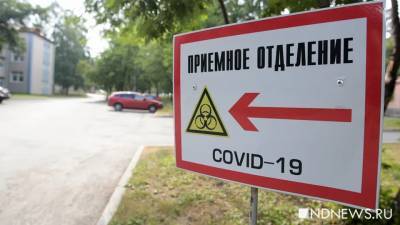 В четырех регионах России за сутки не выявили ни одного заболевшего коронавирусом