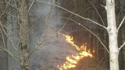 На Урале в заповеднике «Денежкин камень» площадь лесного пожара увеличилась до 19 га