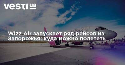 Wizz Air запускает ряд рейсов из Запорожья: куда можно полететь