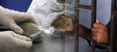Членам наркогруппировки в Карелии грозит пожизненный срок за сбыт наркотиков
