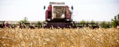 Волгоградские аграрии собрали 3 млн тонн зерна, сообщил Андрей Бочаров