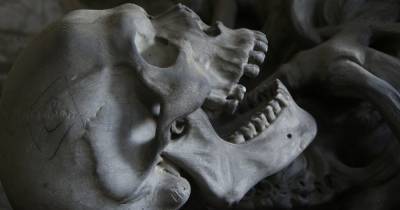 Зубы помогли определить пол ископаемых останков людей точнее, чем ДНК