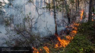 Сильный пожар тушат в заповеднике "Денежкин камень" на Урале