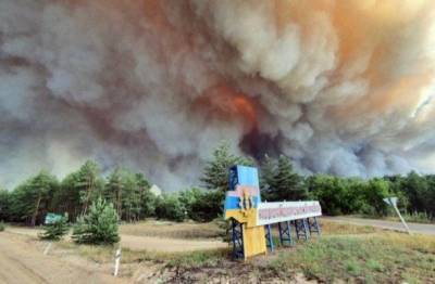 Кто пытается скрыть хищения леса на Донбассе, или Пожар Минских соглашений