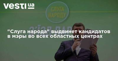 "Слуга народа" выдвинет кандидатов в мэры во всех областных центрах - vesti.ua - Украина