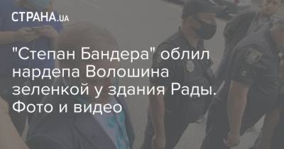 "Степан Бандера" облил нардепа Волошина зеленкой у здания Рады. Фото и видео