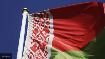 Десятки тысяч национальных наблюдателей аккредитовались на выборы президента Белоруссии