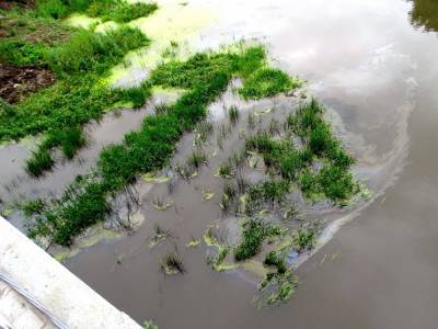 Министерство экологии начало проверку по факту разлива ГСМ на реке Миасс