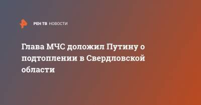 Глава МЧС доложил Путину о подтоплении в Свердловской области