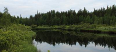В Карелии очистили реку после выброса технического масла с ГЭС