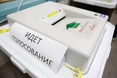 Госдума приняла в третьем чтении законопроект о голосовании на выборах в течение трех дней