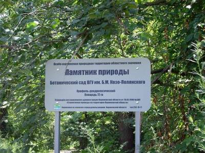 В Воронежской области началась «экологическая кластеризация»