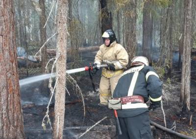 В Койгородском районе потушили лесной пожар