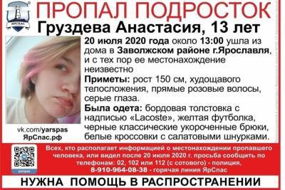 В Ярославле ищут девушку с розовыми волосами