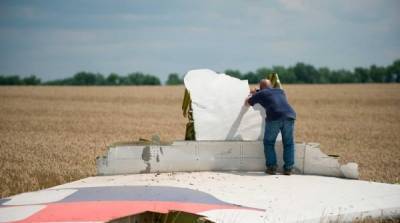 Эксперт: фальсификаторы из Нидерландов по делу “Боинга” MH17 пойдут под суд