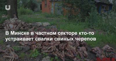 В Минске в частном секторе кто-то устраивает свалки свиных черепов