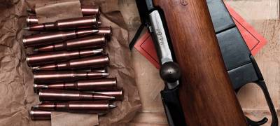 Суд оштрафовал жителя Карелии за хранение винтовки