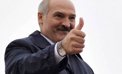 Посмотрите, как встречали Лукашенко у новой поликлиники в Гомеле — фото, видео