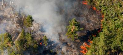 За минувшие сутки в Карелии произошло семь лесных пожаров