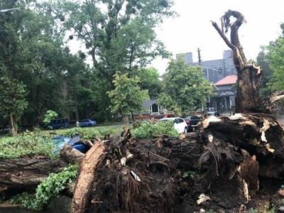 Мощный ураган с ливнем в Киеве затопил улицы и повалил деревья