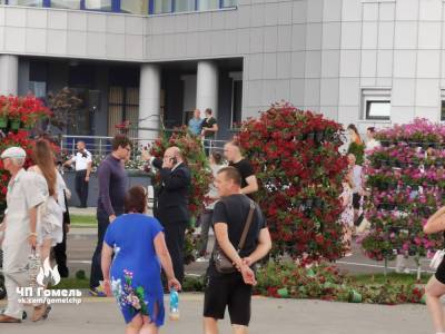 Видеофакт. В Гомеле во время визита Лукашенко рухнули клумбы из петуний