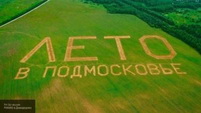 Надпись "Лето в Подмосковье" появилась недалеко от Домодедова