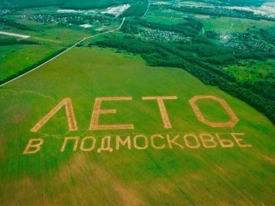 Надпись «Лето в Подмосковье» размером с 16 футбольных полей появилась в Ступине