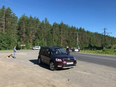 На выходных автоинспекторы Сыктывкара задержали шестерых водителей в состоянии опьянения