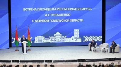 Лукашенко поручил выработать отдельную программу развития сельского хозяйства в Гомельской области