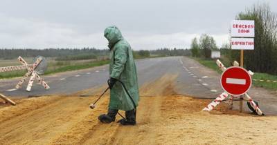 Врачи рассказали об очагах бубонной чумы в регионах России