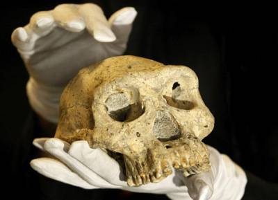 Археологи нашли череп человека, жившего 11 тысяч лет назад: находка раскрыла жестокую древнюю традицию