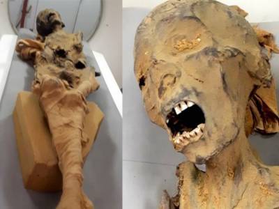 Ученые раскрыли тайну мумии «кричащей женщины»