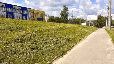 В Смоленске вдоль магистральных улиц косят траву