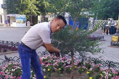 Депутат Народного Хурала Бурятии дал совет не стричь деревья на Арбате в виде шаров
