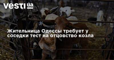 Жительница Одессы требует у соседки тест на отцовство козла