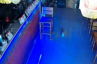 Котёнок в баре стащил пачку денег и попал на видео