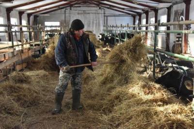Костромским фермерам с северо-востока области получить грант станет легче