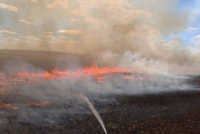 Оренбургская область оказалась во власти огненной стихии