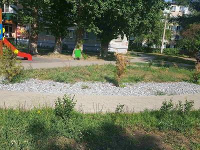 Главы районов Челябинска получили представления за гибель новых деревьев и кустарников
