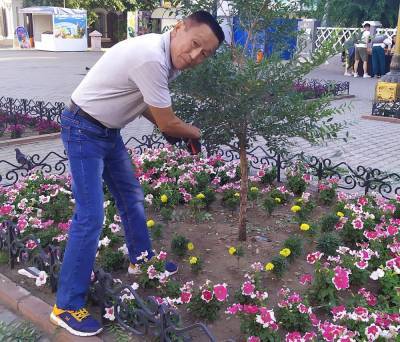 «Не смог удержаться»: Бурятский депутат схватился за секатор в центре Улан-Удэ