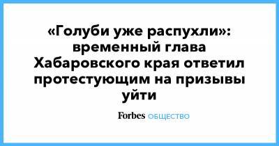 «Голуби уже распухли»: временный глава Хабаровского края ответил протестующим на призывы уйти