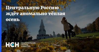 Центральную Россию ждёт аномально тёплая осень