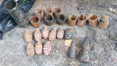 В лесу у поселка Гаврилова обнаружили военные боеприпасы