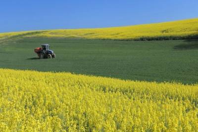 Ефремовские аграрии оштрафованы за нарушения при применении пестицидов