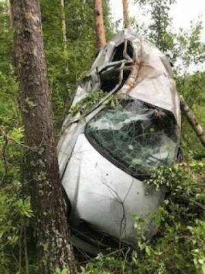 В Нюксенском районе при столкновении с деревом погиб молодой водитель