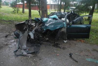 В Костромской области водитель «Тойоты» погиб врезавшись в дерево