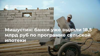 Мишустин: банки уже выдали 18,5 млрд руб по программе сельской ипотеки