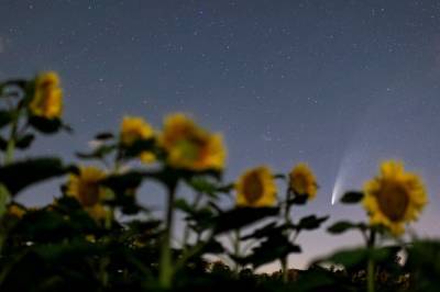 Комета Neowise летит над Землей на самом близком расстоянии. Где и когда ее можно увидеть - vkcyprus.com - Краматорск