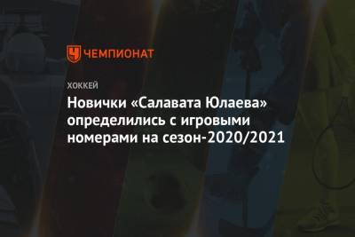Новички «Салавата Юлаева» определились с игровыми номерами на сезон-2020/2021